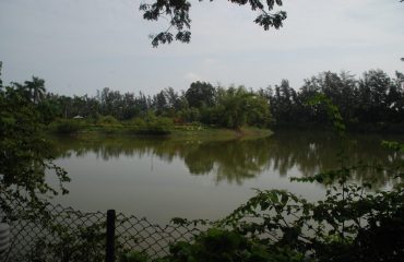 Vanganga Lake Garden evng picture