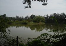 Vanganga Lake Garden evng picture