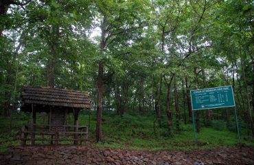 सतमालिया हिरण अभयारण्य जंगल