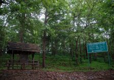 Satmalia Deer Sanctuary forest