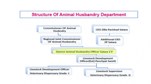 admin setup