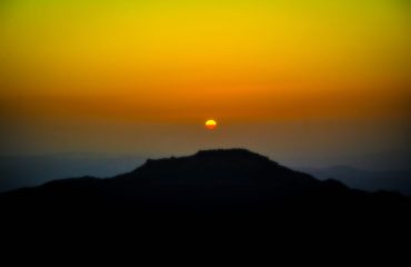 IMG_6877