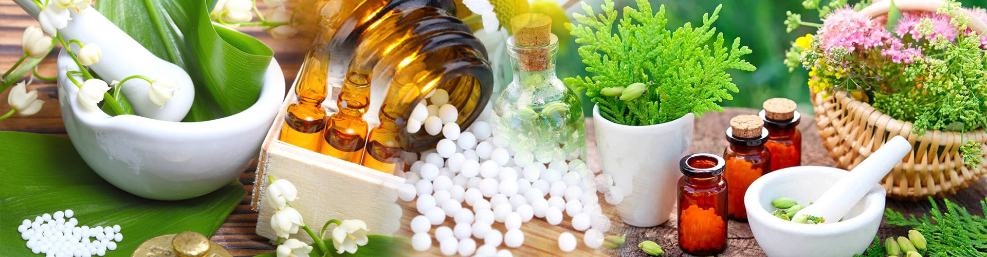 Directorate of Homoeopathic