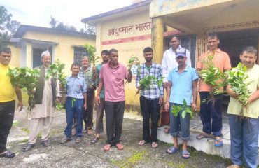 ओषधी पौधे वितरण कार्यक्रम