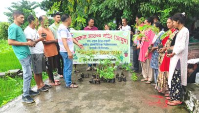 ओषधी पौधे वितरण कार्यक्रम