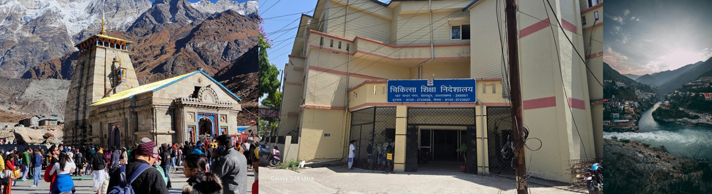 Department of Medical Education