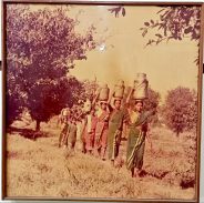 दुग्ध क्रांती