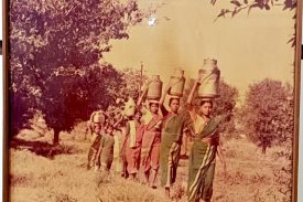 दुग्ध क्रांती