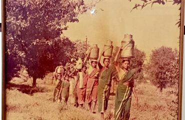 दुग्ध क्रांती