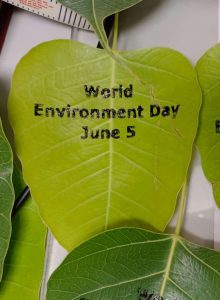 World Environment Day celebrations at NIC Hyderabad 