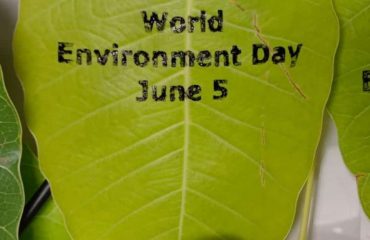 World Environment Day celebrations at NIC Hyderabad