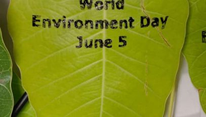 World Environment Day celebrations at NIC Hyderabad