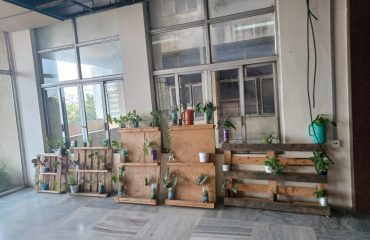 World Environment Day celebrations at NIC Hyderabad