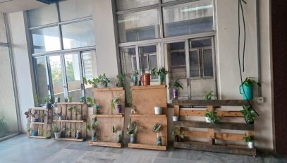 World Environment Day celebrations at NIC Hyderabad