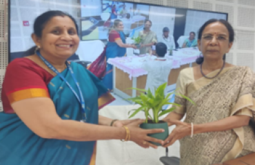 तस्वीर 8