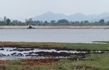 Bahuda river mouth embankment project of Berhampur Irrigation Division(WR dept) at Patisonapur 17/7/2021