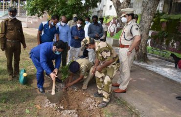 Planting tree sapling by RDC in commemoration of Independence Day, 2021