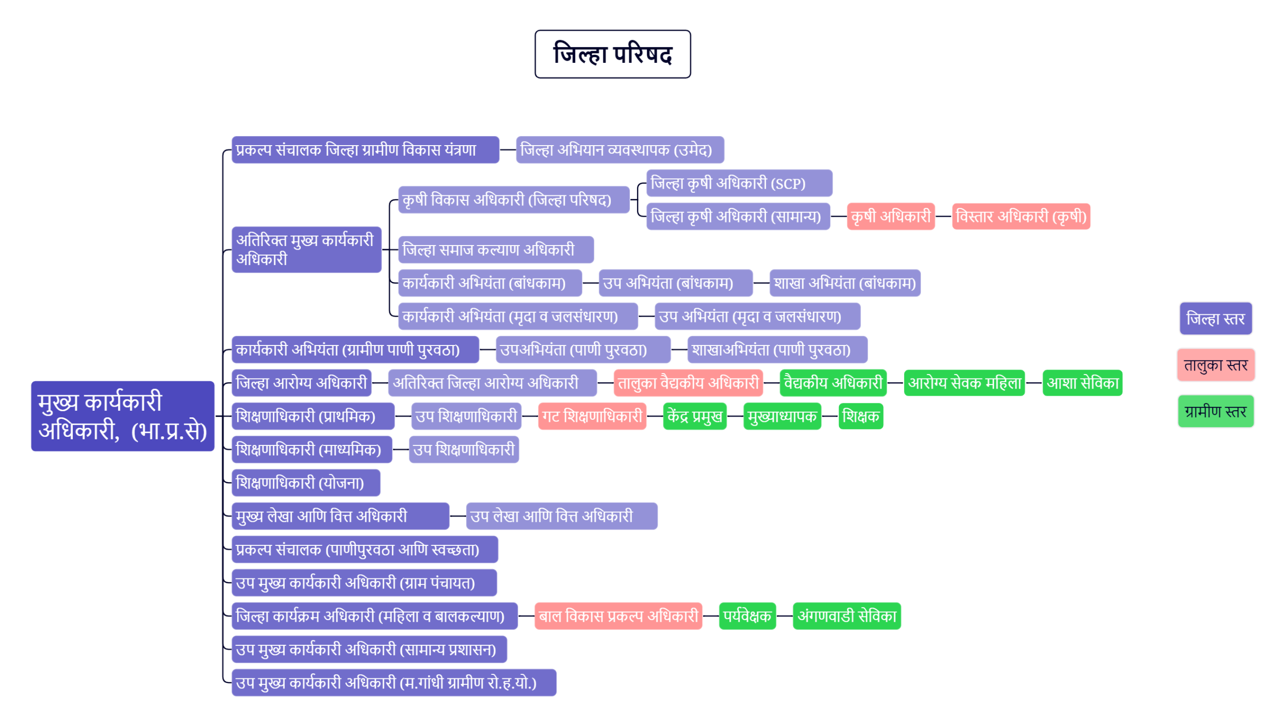 ZP Hierarchy