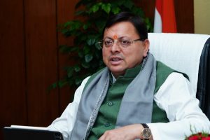 41317_1743595274 (1)