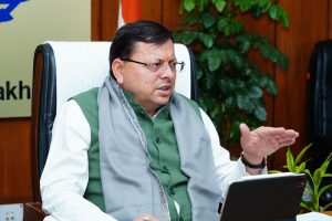 41318_1743678257 (1)