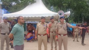 43523_1752493350 (1)