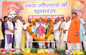 CM DHAMI