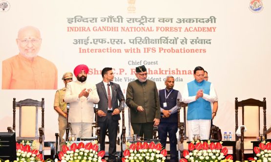 CM DHAMI