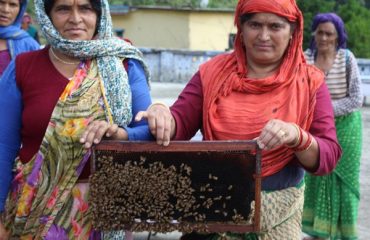Bee Keeping