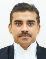 Justice Raja Vijayaraghavan V