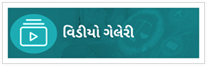 Gujarati3