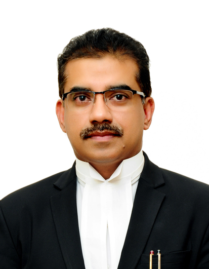 Justice Raja Vijayaraghavan V.