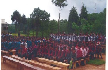 World Environment Day – 3