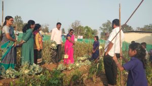 WhatsApp Image 2026-01-12 at 12.27.58 PM (2)