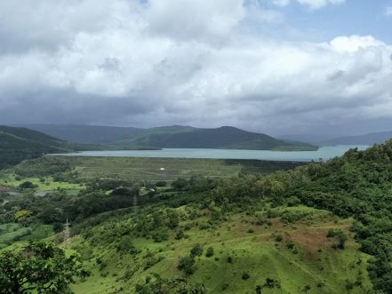 चांदोली वन्यजीव अभयारण्य