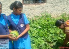 WhatsApp Image 2026-01-12 at 12.27.58 PM (1)