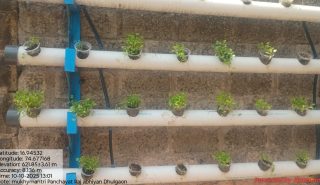 WhatsApp Image 2026-01-12 at 12.27.59 PM (1)