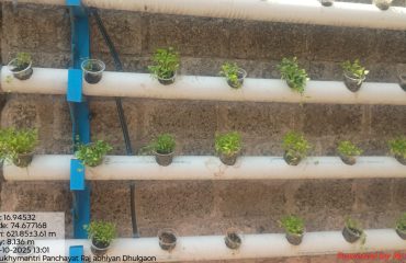 WhatsApp Image 2026-01-12 at 12.27.59 PM (1)