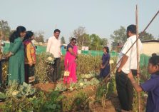 WhatsApp Image 2026-01-12 at 12.27.58 PM (2)