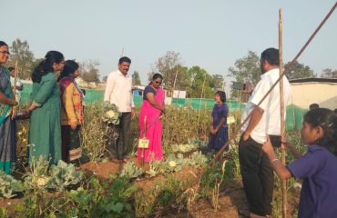 WhatsApp Image 2026-01-12 at 12.27.58 PM (2)