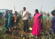 WhatsApp Image 2026-01-12 at 12.28.01 PM