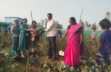 WhatsApp Image 2026-01-12 at 12.28.01 PM