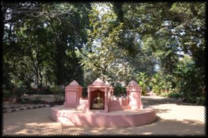 Budha Garden