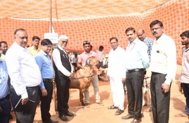 Agricultural Exhibition