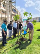 Plantation under campaign Ek ped maa ke naam