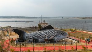 Jhumka dam fish