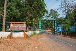 Guru Ghasidas Gate small