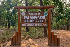 Balamgadhi board