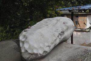 15 ठिनठीनी पत्थर, दरिमा (1)