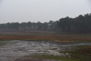 10 जलजली, मैनपाट (5)