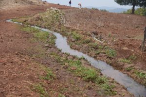 उल्टापानी मैनपाट